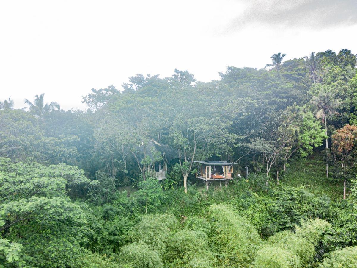 הוילה Karangasem Bird Hills Bamboo House מראה חיצוני תמונה